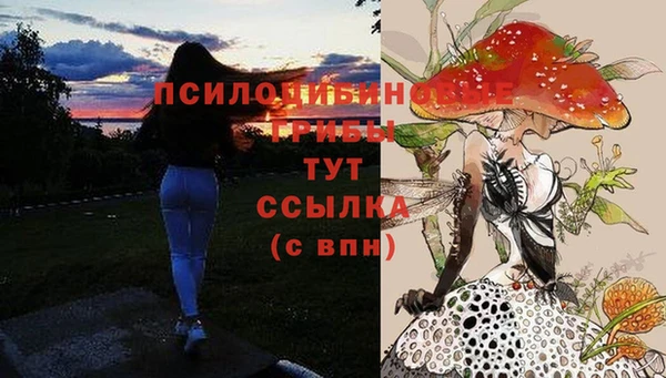 mdpv Волосово